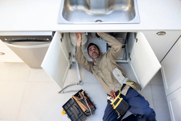 Best Plumbing Inspections & Maintenance in Monticello, IL